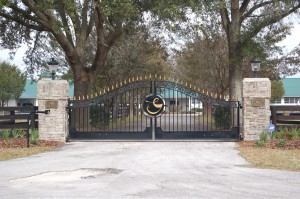 Customized Entry Gate